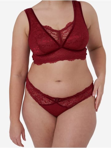 SugarShape Brazilian-Slip Eliana Velvet in burgundy