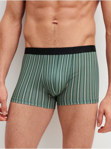 Calida New Boxer, 3er-Pack in agave green