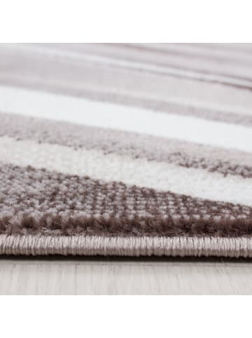 Teppich Boss Kurzflor Teppich Paolo Braun