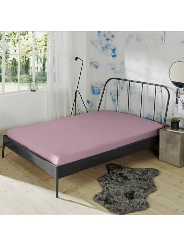 Erwin Müller Mako-Interlock-Jersey Bio Spannbettlaken München in mauve