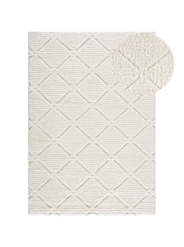 payé Teppich Hochflor Nara 2997