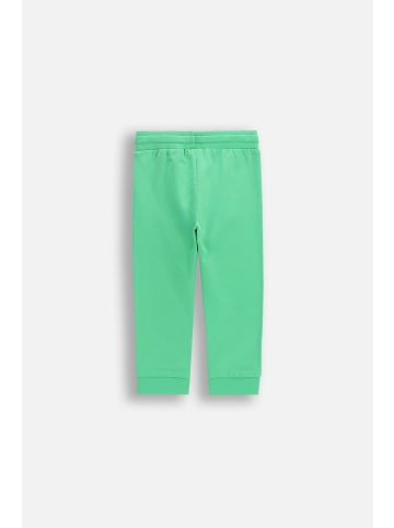 MOKIDA Jogginghose in grün
