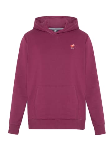 Polo Sylt Sweatshirt / Hoodie Basic in Lila