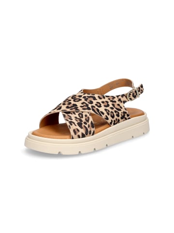 Tamaris Sandale in Leopard