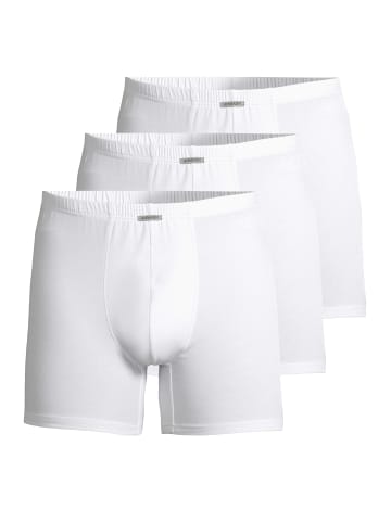 Ammann Long Short / Pant Close to you in Weiß
