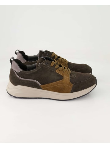 Sioux Sportliche Schnürschuhe in Braun