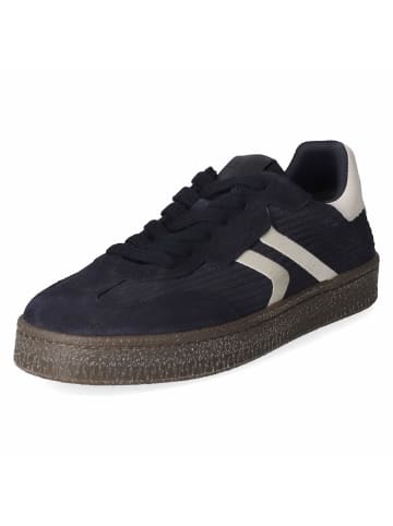 Tamaris Schnürhalbschuh in blue