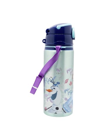Disney Frozen Aluminium Trinkflasche 730ml mit Strohhalm & Tragegurt