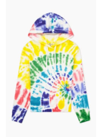 Champion Hoodie Hooded Sweatshirt in Multicolor