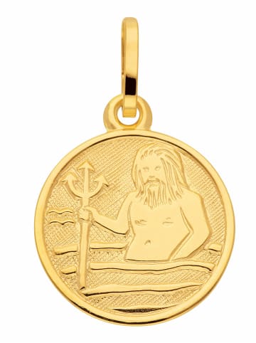 Adeliás 333 Gold Sternzeichen Anhänger Wassermann Ø 11,8 mm in gold