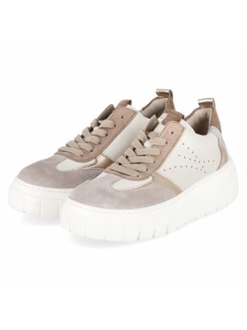 Gabor Schnürhalbschuh in beige