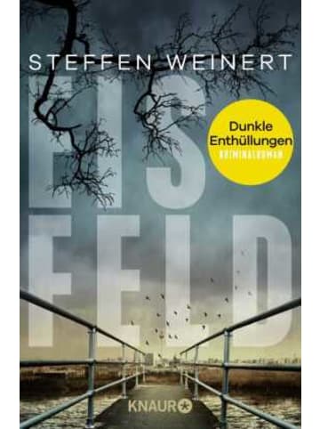 Droemer Buch - Eisfeld - Dunkle Enthüllungen