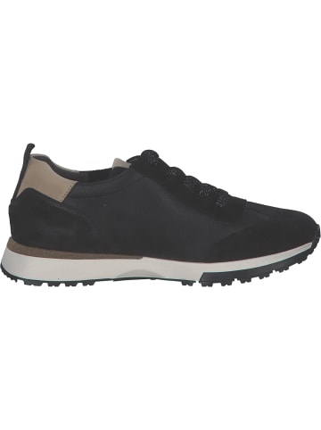 Paul Green Schnürschuhe in Schwarz