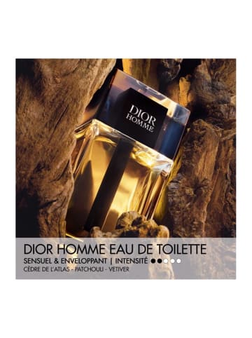 Dior Dior Homme Eau de Toilette – 50 ml