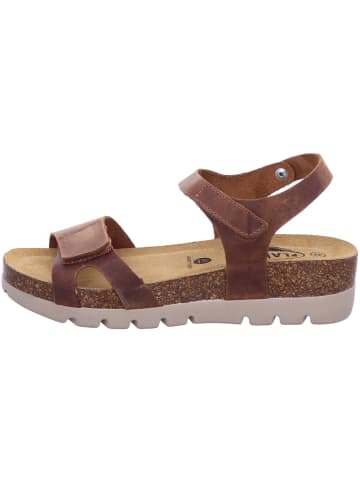 Plakton Sandalette in braun