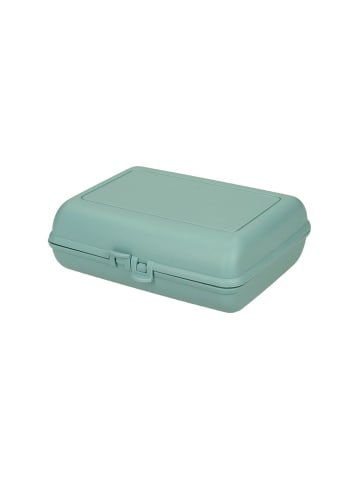 elasto Bio-Vorratsdose "Switch" in aprikose