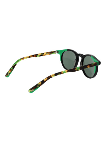 Funky Buddha Männer Sonnenbrille Panto Schwarz