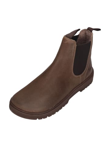 KOEL Chelsea Boots GAVIEN SUEDE FELT in braun