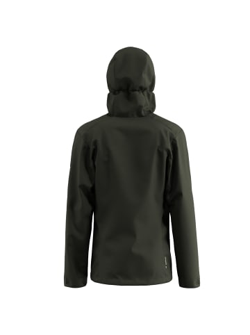 Salewa Jacke Funktionsjacke PUEZ Aqua 4 in oliv