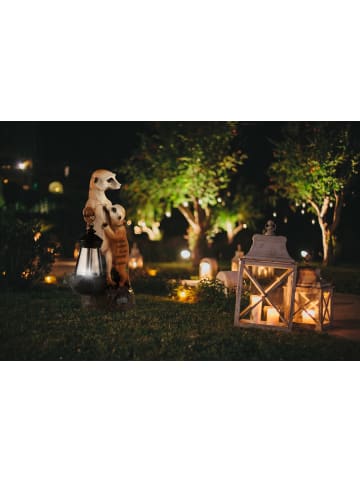 EASYmaxx Solar-Leuchte Erdmännchen Familie 1,2V mehrfarbig Braun