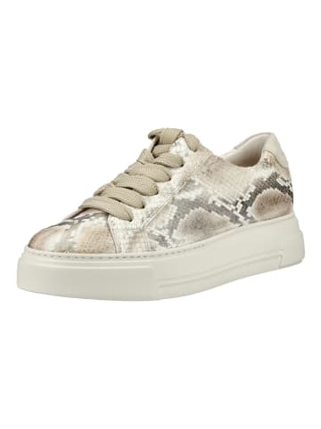 Paul Green Sneaker in Beige