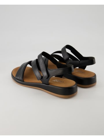 Gabor Comfort Sandalen in Schwarz