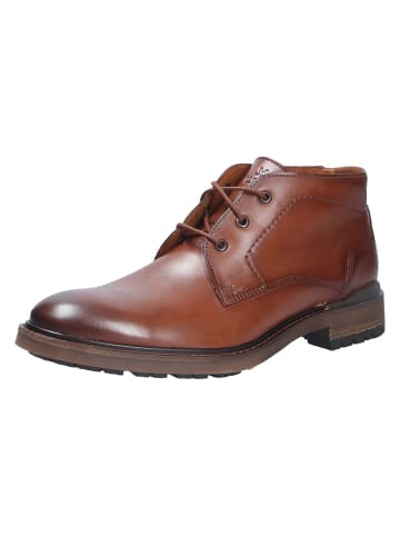 LLOYD Stiefel VIBE 325 in braun