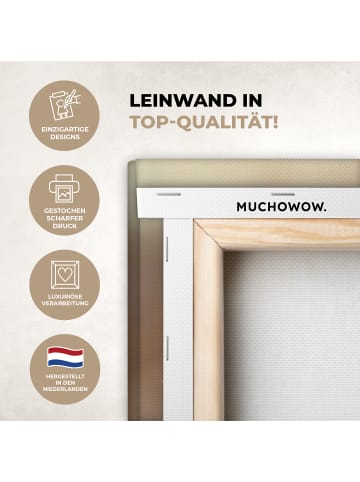 MuchoWow Leinwand bilder Nahaufnahme Flaum (BxH)