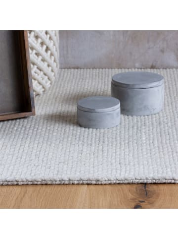 obsession Kurzflor Teppich Pixy 525 in creme - rechteckig