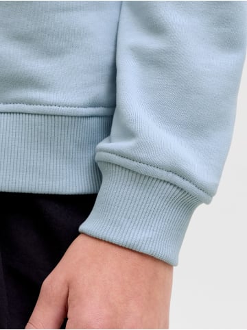 JACK & JONES Junior Kapuzensweatshirt JJRAIN SWEAT HOOD JNR in celestial blue