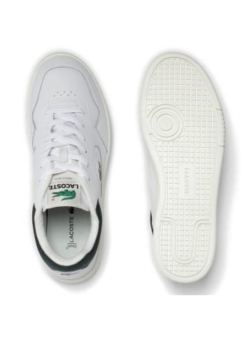 Lacoste Sneaker in Weiß/Grün