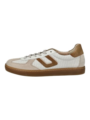 Gabor Sneaker in Weiß/Braun