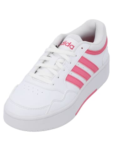 adidas Schnürschuhe in white/pink fusion