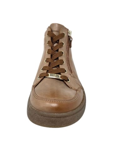 Schnürstiefelette Rom Sport  in Braun