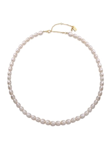 Ailoria SHIORI Halskette in gold