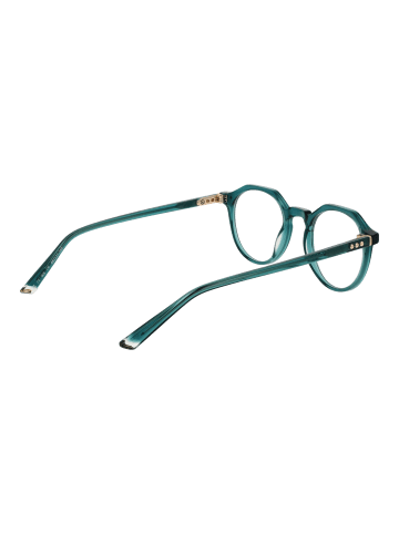 Taylor Morris Unisex Optische Fassungen Panto Grün