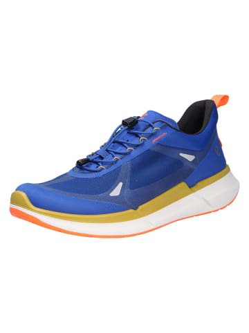 Ecco Schnürschuh in blau