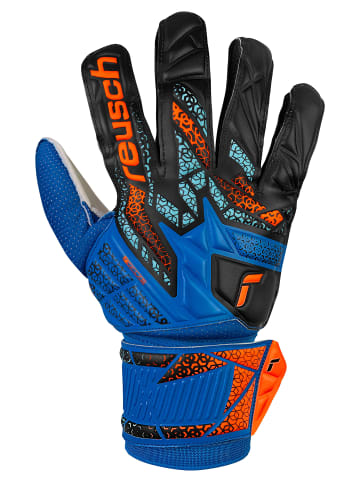 Reusch Torwarthandschuhe Attrakt Solid in 4467 electric blu/shock. orang