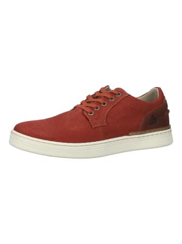 Bullboxer Sneaker in Rot