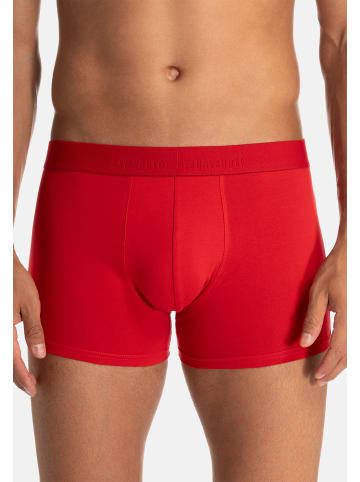 Bruno Banani Retro Short / Pant Flowing in Rot / schwarz