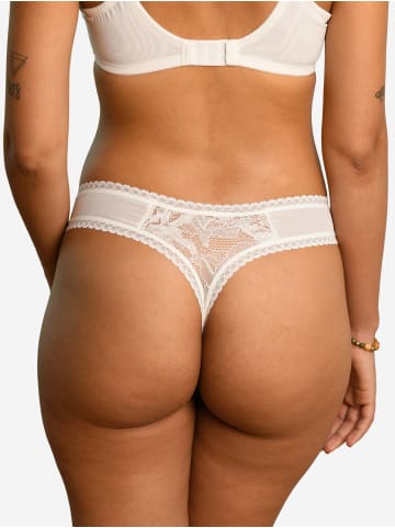 SugarShape String Vienna in ivory