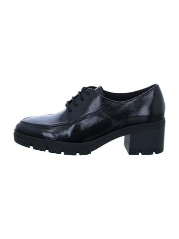 Gabor Elegante Schnürschuhe in Schwarz