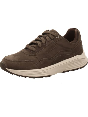 Xsensible Schnürschuhe in grau