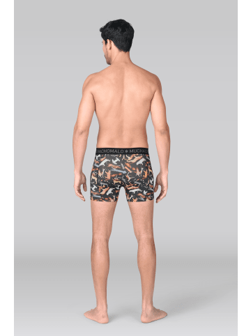 Muchachomalo 10er-Set: Boxershort in Mehrfarbig - für Herren