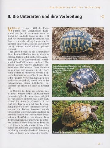 Natur und Tier-Verlag Griechische Landschildkröten