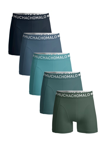 Muchachomalo 5er-Set: Boxershorts in Black/Blue/Blue/Green/Green