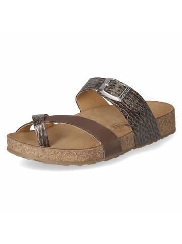 HAFLINGER Pantolette in braun