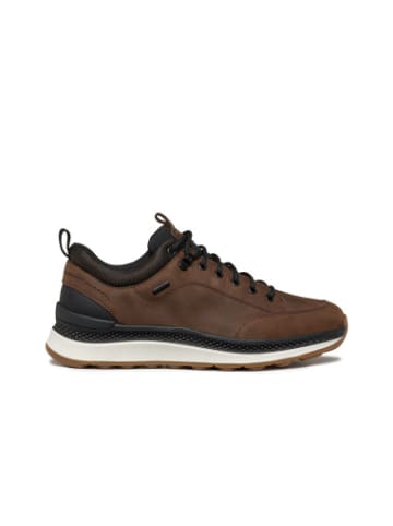 Geox Sneakers U in Mehrfarbig