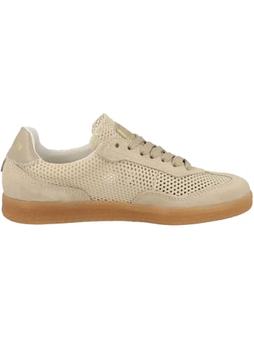 Steve Madden Sneaker low Estella in beige