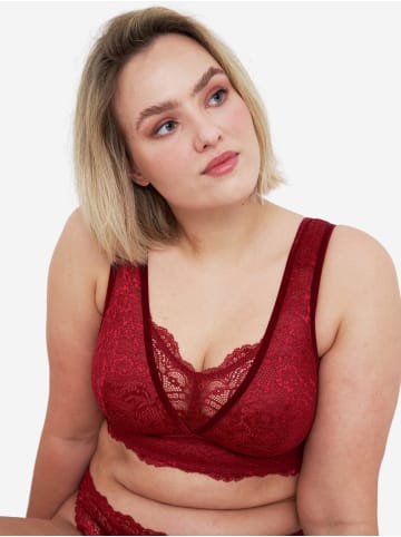 SugarShape Bralette Eliana in burgundy